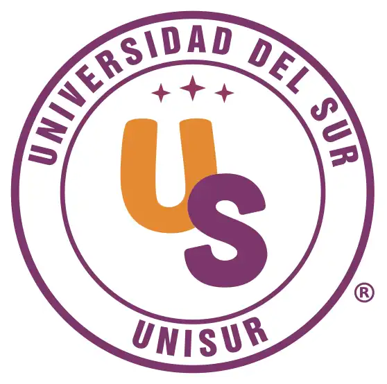 Universidad del sur